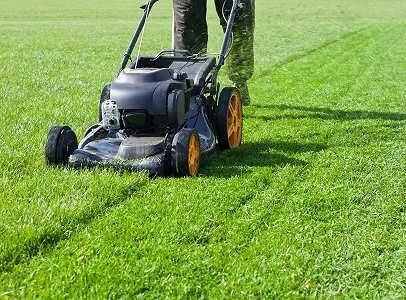 entretien d'espaces verts à Brueil-en-Vexin près de Mantes-la-Jolie dans les Yvelines 78