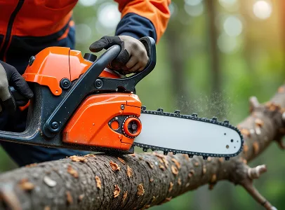 elagage à Brueil-en-Vexin près de Mantes-la-Jolie dans les Yvelines 78