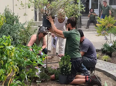 plantation à Brueil-en-Vexin près de Mantes-la-Jolie dans les Yvelines 78