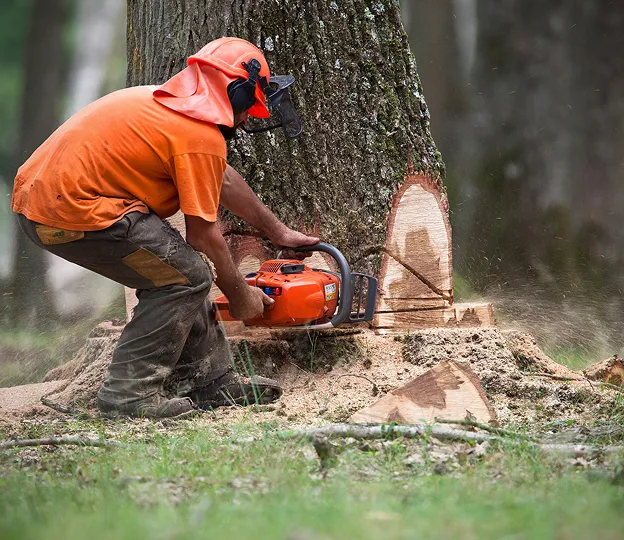 elagage à Brueil‑en‑Vexin près de Mantes-la-Jolie dans les Yvelines 78