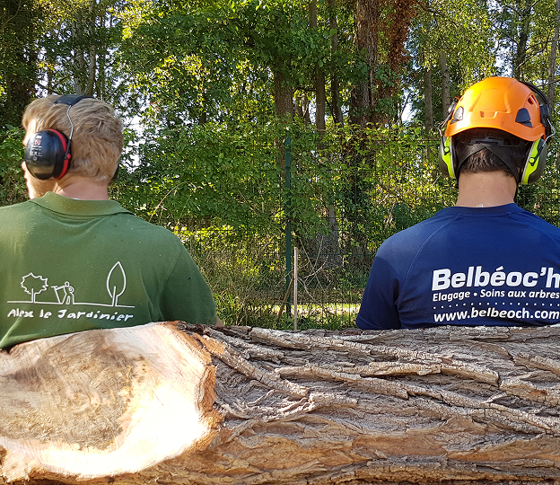 elagueur à Brueil‑en‑Vexin près de Mantes-la-Jolie dans les Yvelines 78